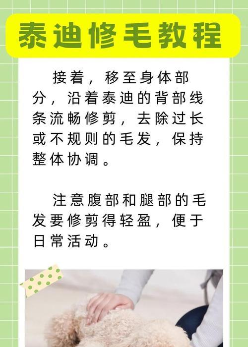 泰迪宠物是否应该剃胎毛？（宠物美容师为什么建议剃胎毛？）