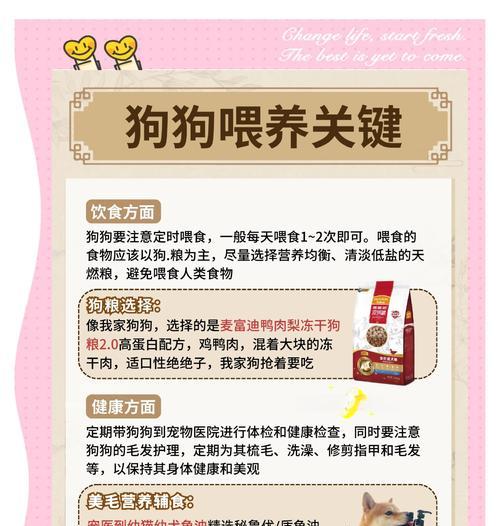 冬天来了，金毛不肯离床！（如何应对金毛不肯起床的情况，）