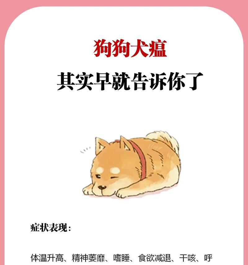 犬瘟病的症状和原因（了解狗狗犬瘟病的迹象和致病原因）