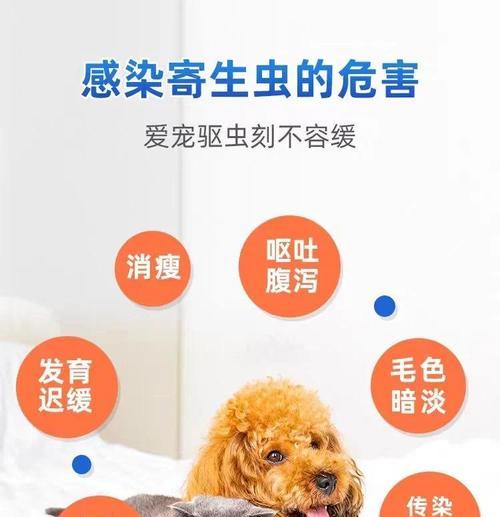 狗吃驱虫药后拉虫子需要多久？（探究狗吃驱虫药后排出虫体的时间和情况）