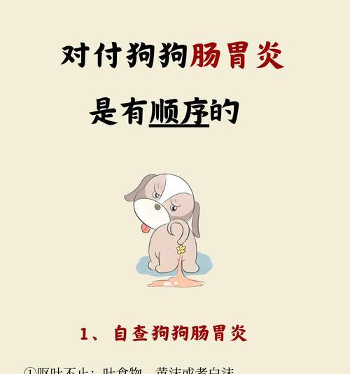 狗狗胃炎的症状与治疗方法（了解如何帮助你的宠物摆脱胃炎困扰）