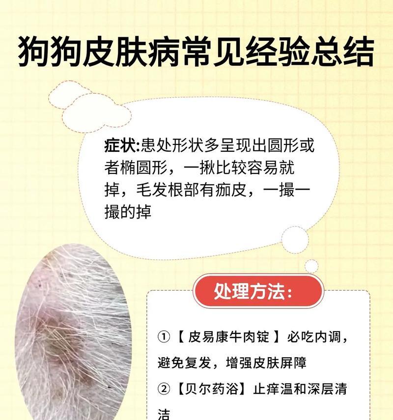 新生小狗常见天生疾病及预防护理（探索新生小狗可能遭遇的天生疾病，提供预防和护理建议）