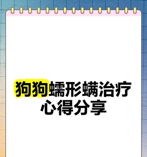 狗狗有螨虫怎么办？——治疗方法详解（全面了解螨虫治疗，让宠物更健康）
