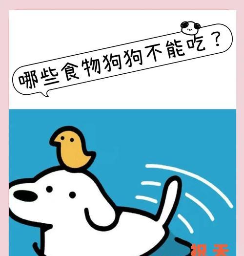 喂狗误区揭秘（了解这些食物，让你的爱犬远离危险）