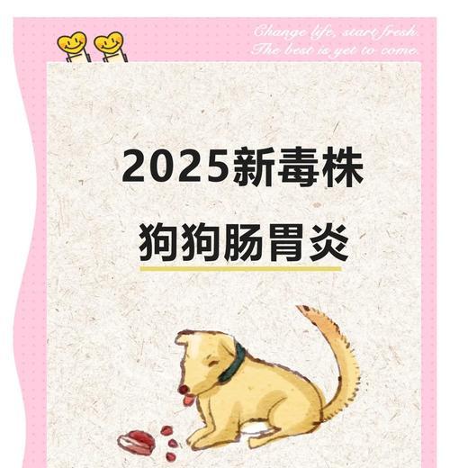 狗狗肠胃不舒服的7个原因（了解狗狗肠胃不舒服的常见原因及预防方法）