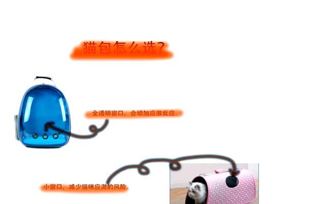 小奶猫喂养指南（如何准备喂养工具，让小奶猫健康成长）
