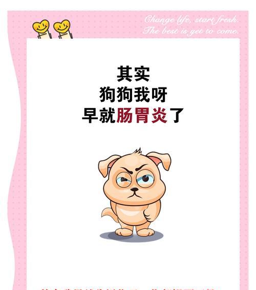 狗狗发烧的症状及原因分析（了解狗狗发烧的迹象以及可能的成因）