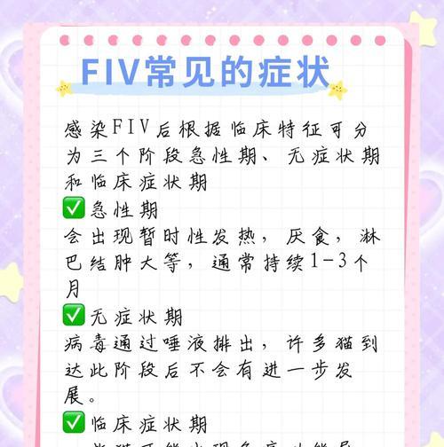 猫咪艾滋病传染与照顾（了解猫咪艾滋病传染途径及如何照料感染猫）