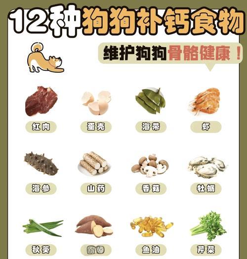 小狗缺钙的症状及处理方法（了解缺钙症状，保证小狗健康成长）