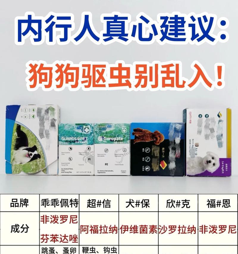 泰迪狗狗驱虫周期及注意事项（泰迪狗狗的驱虫周期与健康养护）