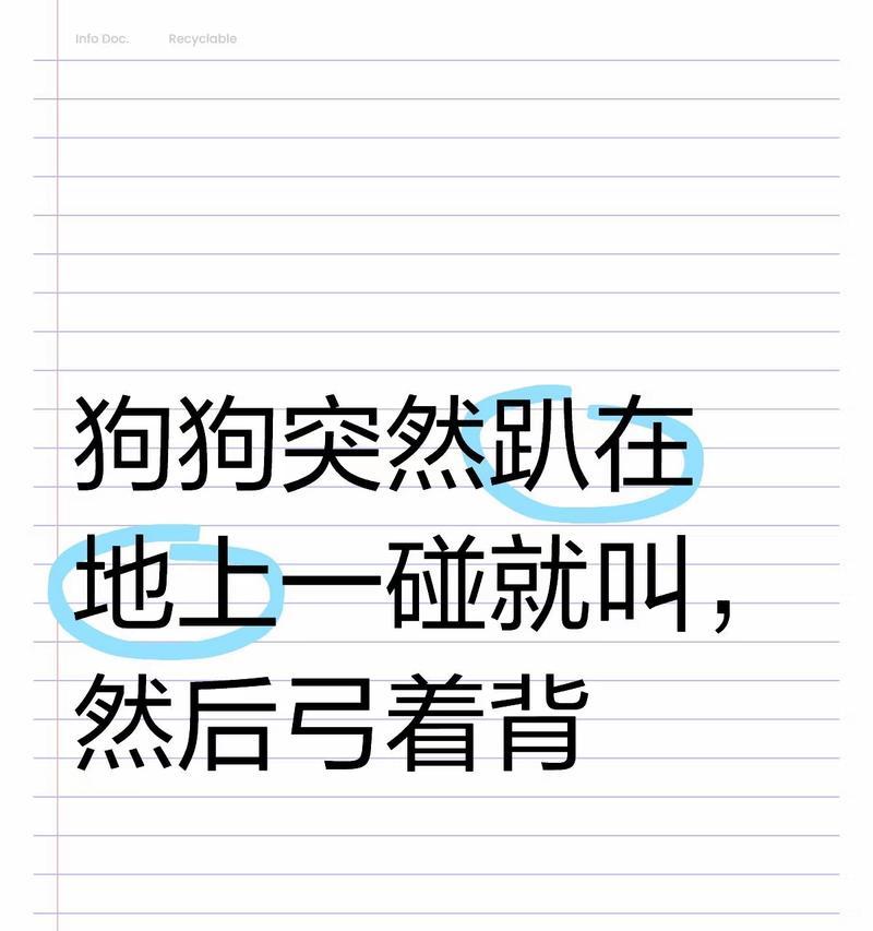 揭秘狗狗弓背之谜（心理紧张还是不舒服？揭示真正的原因）