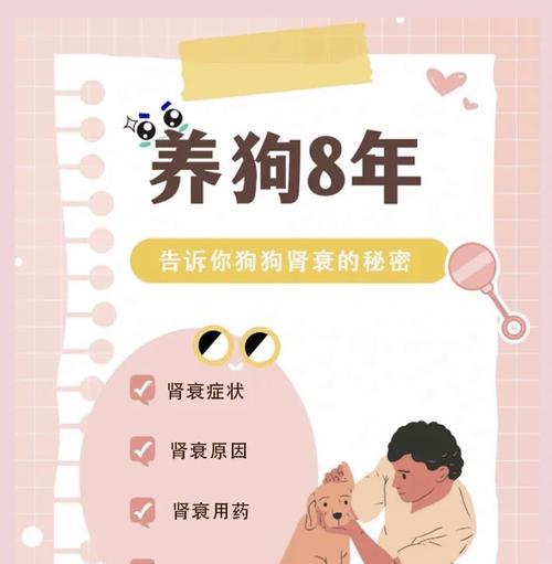狗肾衰的症状与表现（了解狗肾衰竭的常见症状及相关疾病）