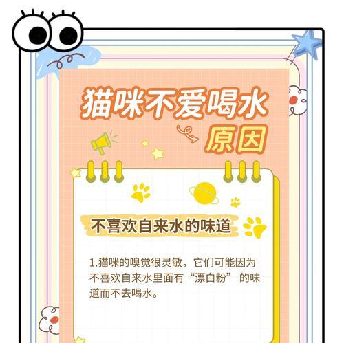 猫咪的排尿与饮水（了解猫咪的排尿量和饮水需求，守护它们的健康）
