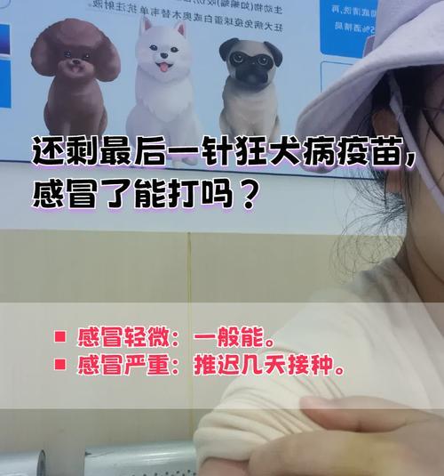 打完狂犬病疫苗后的安心时刻（疫苗接种后多久方可无忧？）