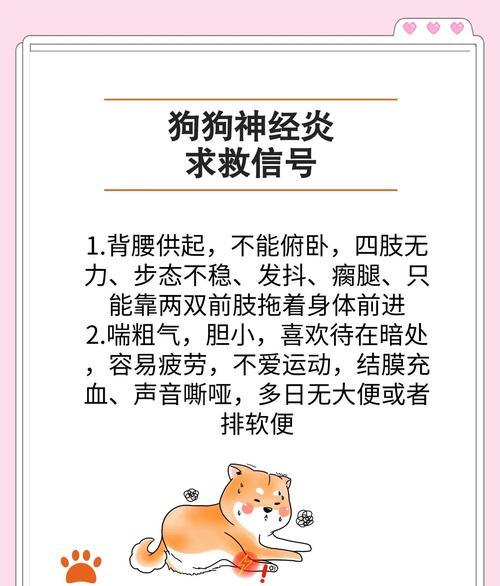 狗狗的求救信号（关注狗狗的这些动作，可能是他们的求救信号！）