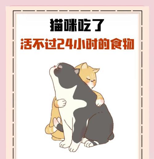 猫咪与巧克力（猫吃巧克力的中毒原因及预防措施）