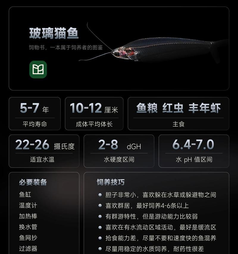 宠物猫不能食用的鱼种有哪些？（了解宠物猫饮食禁忌，保障猫咪健康）
