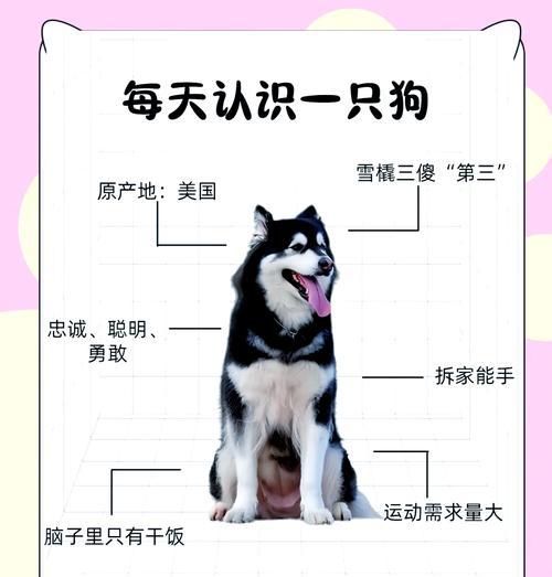 阿拉斯加熊的寿命究竟有多长？（探究阿拉斯加熊的生命周期和长寿原因）