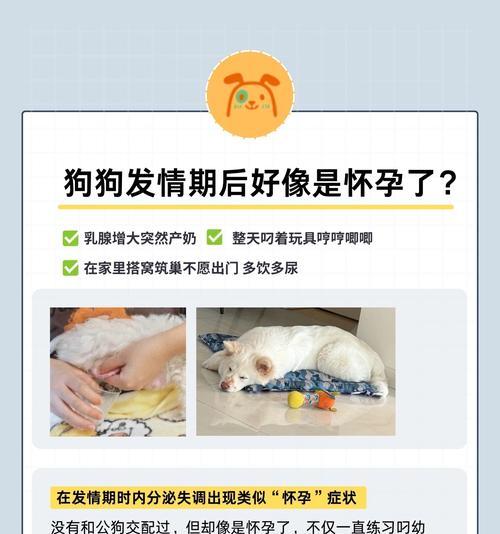 小狗受孕多久后能看出来（了解小狗受孕的迹象和时间表）