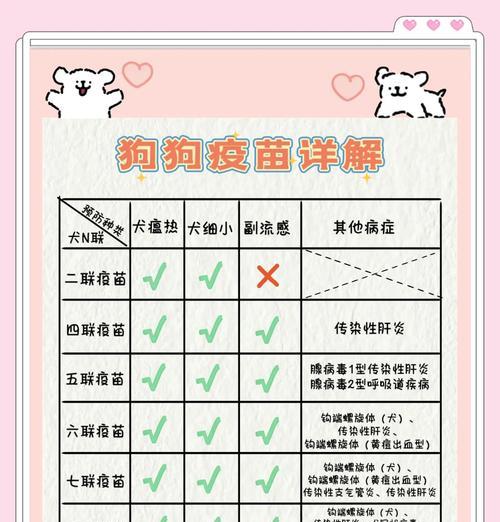 小狗细小后打疫苗的重要性（保护宠物免受疾病侵袭的关键措施）