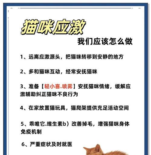 揭秘猫咪为何害怕黄瓜？（探索猫咪对黄瓜的恐惧背后的几大原因）