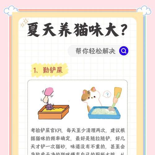 猫咪的排便频率及常见问题（了解猫咪的正常排便频率与异常表现）