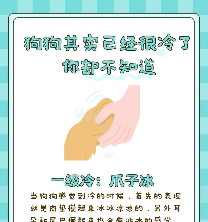 养狗的6大“危害”——痛并快乐着！（揭秘养狗的真实面孔，了解狗狗陪伴的代价）