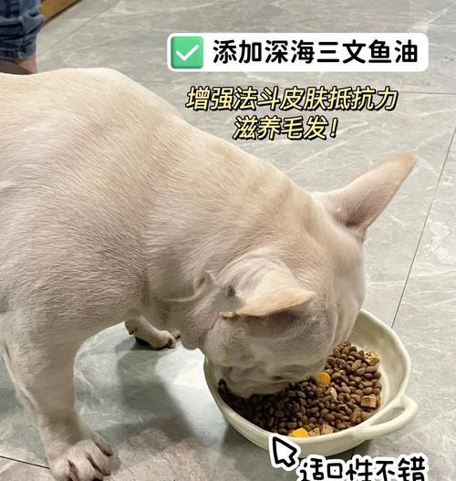 法斗每天需要吃多少狗粮？（揭秘法斗的饮食需求量与营养均衡）