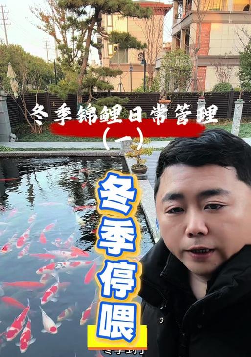冬天换水的最佳时机（冬季养鱼必备知识，掌握这个关键，锦鲤才能安心过冬）
