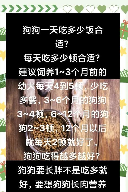 幼犬和成年犬都可能会有蠕形螨病，及早防治是王道（了解蠕形螨病的预防和治疗，保护你的爱犬健康）