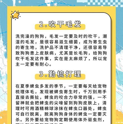 狗狗身上有蜱虫的简单治疗方法（快速有效清除宠物身上的蜱虫，让爱宠远离危险）