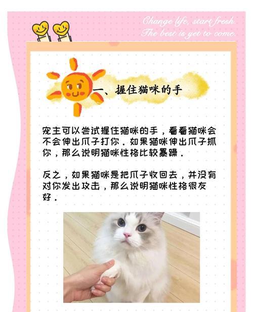 小猫和人亲近的时间（探索小猫和人类之间建立亲密关系的步骤及时间）
