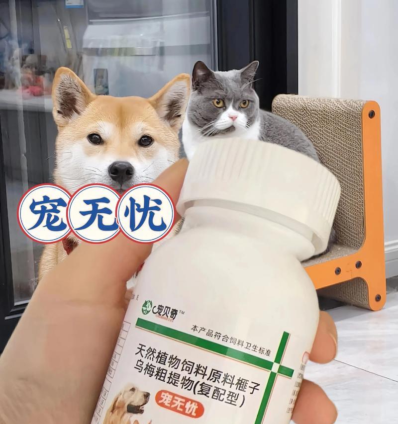 夏天来了，猫咪长虱子怎么办？（3个步骤彻底除虱！）