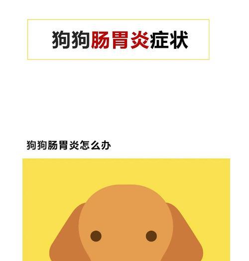 狗狗拉肚子的原因及治疗护理方法（揭秘狗狗拉肚子的多重原因，帮助你正确护理爱宠）