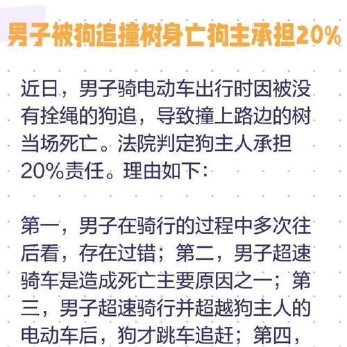 遛狗不拴绳，罚款才20？全国跟上了！（保障公共安全还是为了狗的自由？）
