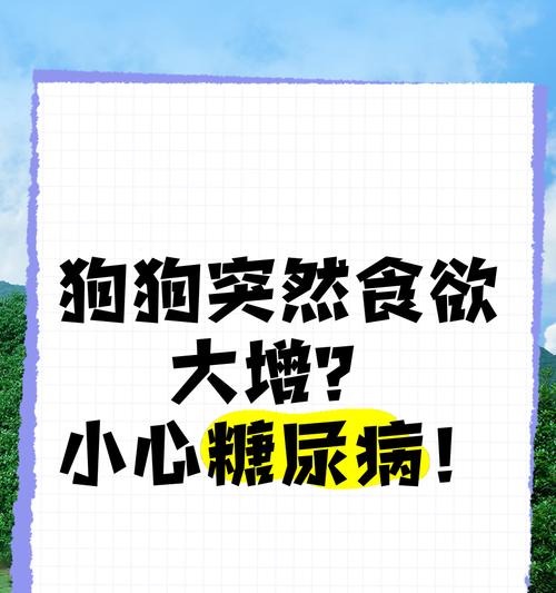 揭秘狗狗贪吃却容易肠胃不适的原因（4个关键要点帮你对症下药，告别狗狗食欲大增之烦恼）