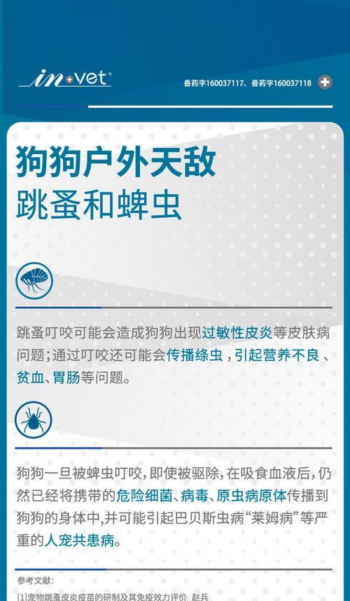 狗体外驱虫频率究竟是多久一次？（科学指导下，驱虫计划应如何制定？）
