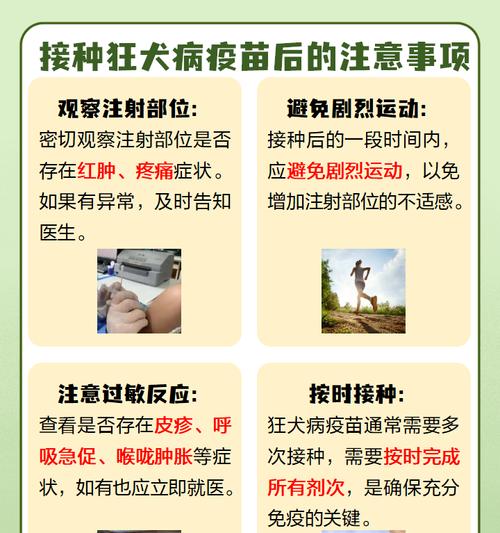 狂犬疫苗接种时间——保护您的生命（了解正确的接种时机，从而预防狂犬病）
