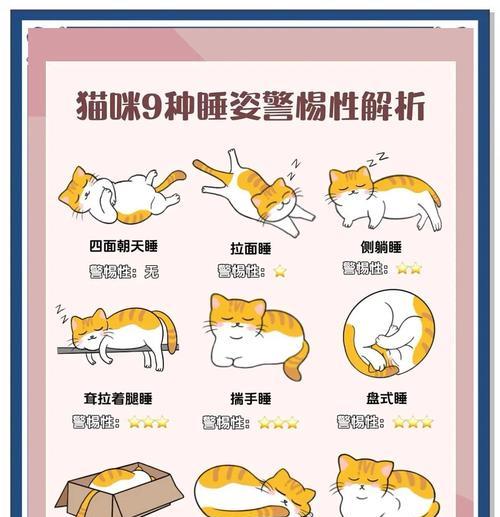 小猫睡眠习性的研究（揭秘小猫的梦境世界）