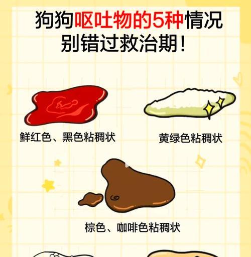 如何判定狗狗是胃部不舒服还是患有疾病？（掌握关键线索，保护爱宠健康）