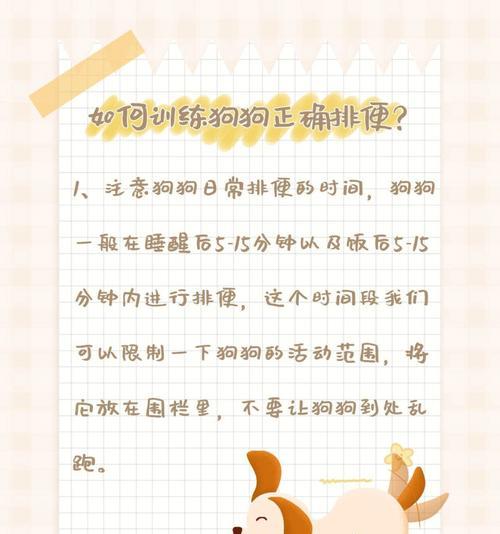 探究狗狗排便的频率与健康关系（狗狗排便多久一次？解读你的宠物的身体状况）