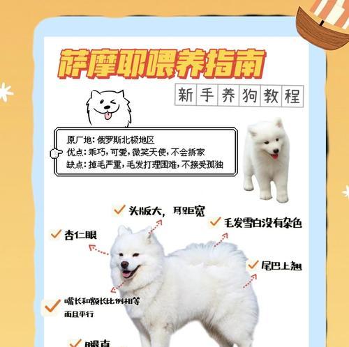 萨摩耶的洗澡频率（揭秘萨摩耶洗澡的最佳时间和频率）