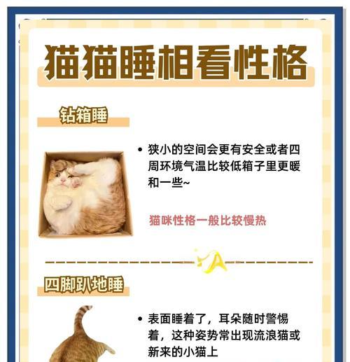 小猫咪的日常睡眠习惯揭秘（了解你家猫咪的睡眠时间，给它提供更好的生活环境）