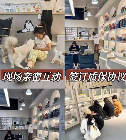 探索狗狗世界（发现无尽的狗狗乐趣与知识）