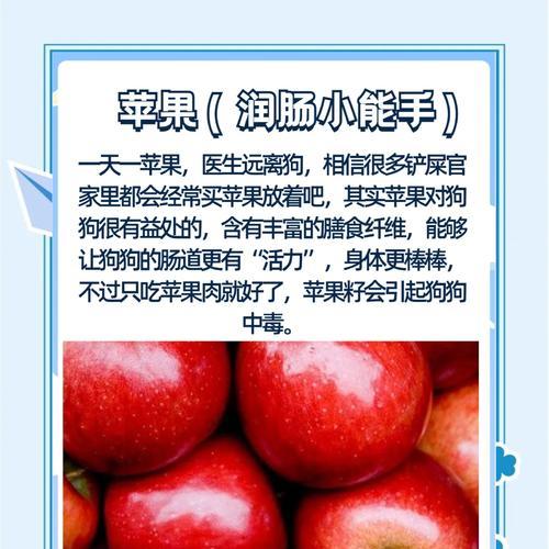 狗狗可以吃哪些水果？（了解适合狗狗食用的水果种类及注意事项）