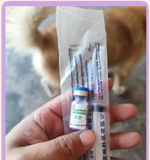 狗狗疫苗接种的时间表（为宠物狗做疫苗，提前了解接种时间表才能更好保护它的健康）