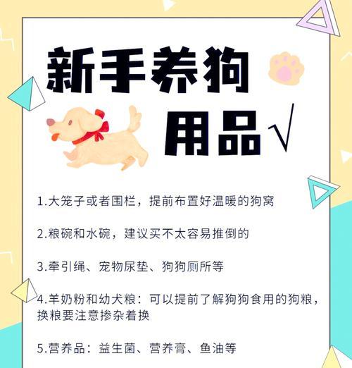 狗狗生产前的准备工作（为你的爱宠做好准备）