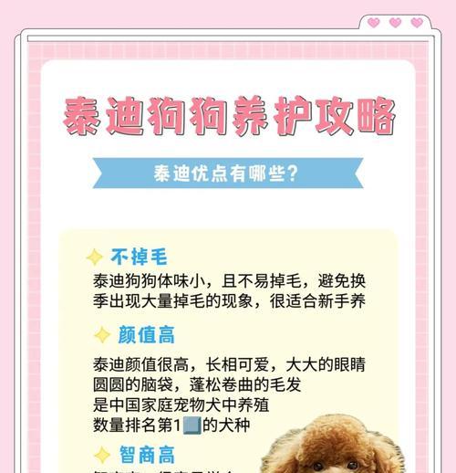 以泰迪配完多久能看出来？（探究泰迪配种后的显现周期及特征）