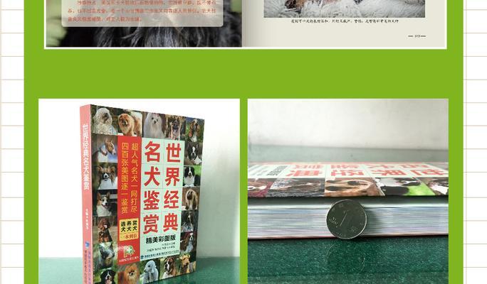 探索狗的世界——狗书籍推荐（了解不同狗的品种、行为和训练方法，提升与狗的相处之道）
