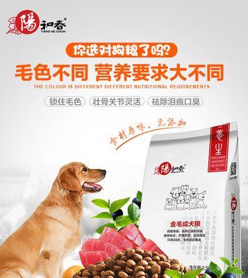 金毛犬换粮频率及注意事项（了解金毛犬的饮食需求，精心安排换粮计划）